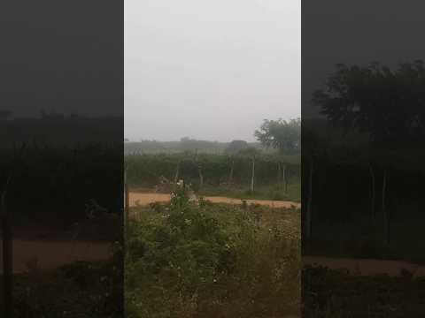 CHUVAS NO NORDESTE EM NOVA FLORESTA PB HOJE