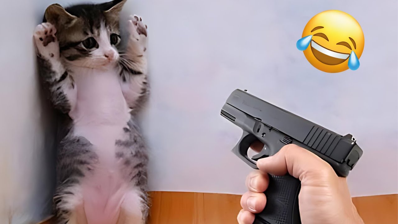Try not to laugh with these funniest animals🤣😂| Top Funny Pet Videos 2024