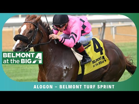 Alogon - 2025 - Belmont Turf Sprint