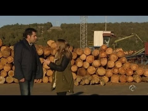 Tu tiempo - El pellet, la energía más limpia y ecológica