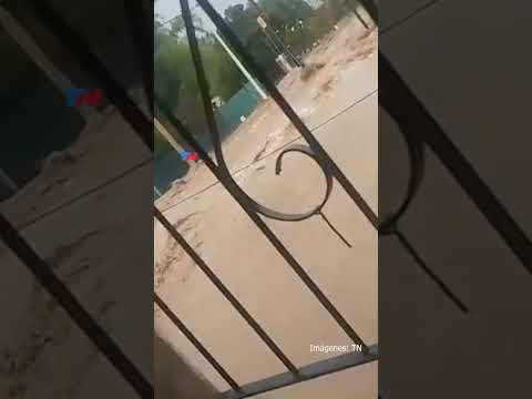 FUERTE TEMPORAL EN SALTA: Así se inundó la ciudad de La Merced, en el Valle de Lerma