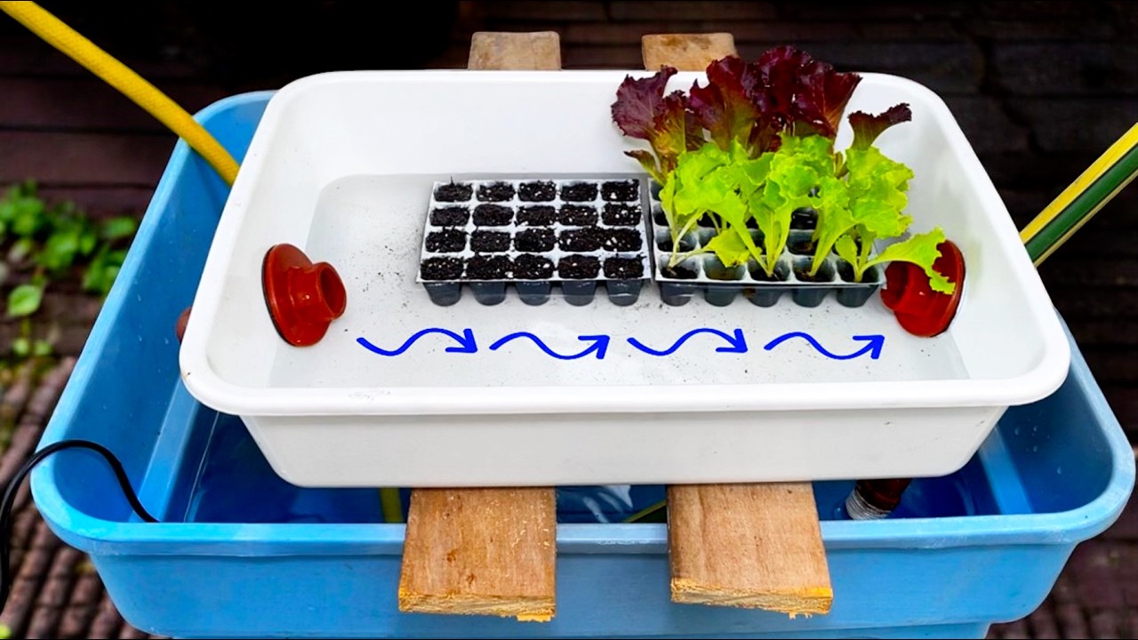 💧 Make the Most of Your Hydroponics with This Seedbed System