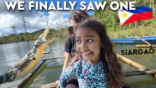 🇵🇭 We Saw Siargao's Only Philippines Crocodile