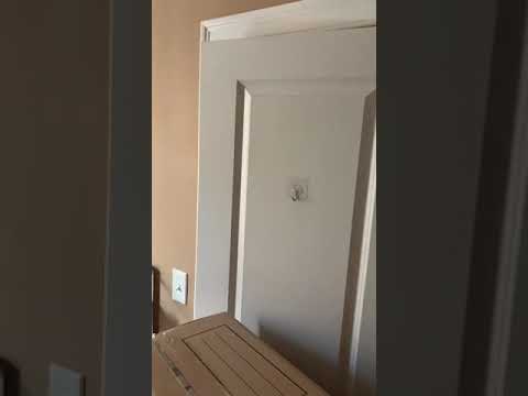r6lot - Video 2 of 2