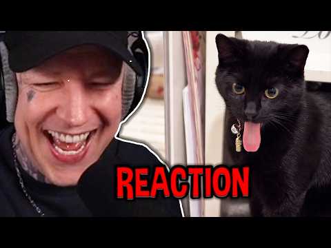 ZU GEIL! 🤣 Monte REAGIERT auf Daily Dose Of Internet.. 😂 | MontanaBlack Reaktion