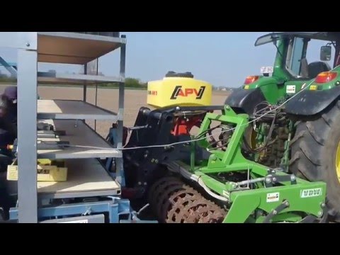 Yacon planten met 4-rijige planter Perdu