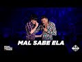 Pedro Sanchez & Thiago - Mal Sabe Ela | DVD “No Piseiro” - Ao Vivo em Limeira/SP Pedro Sanchez & Thiago - Mal Sabe Ela | DVD “No Piseiro” - Ao Vivo em Limeira/SP