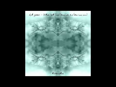 Ilya Gerus - Black Sea (Fabrik Way Remix)