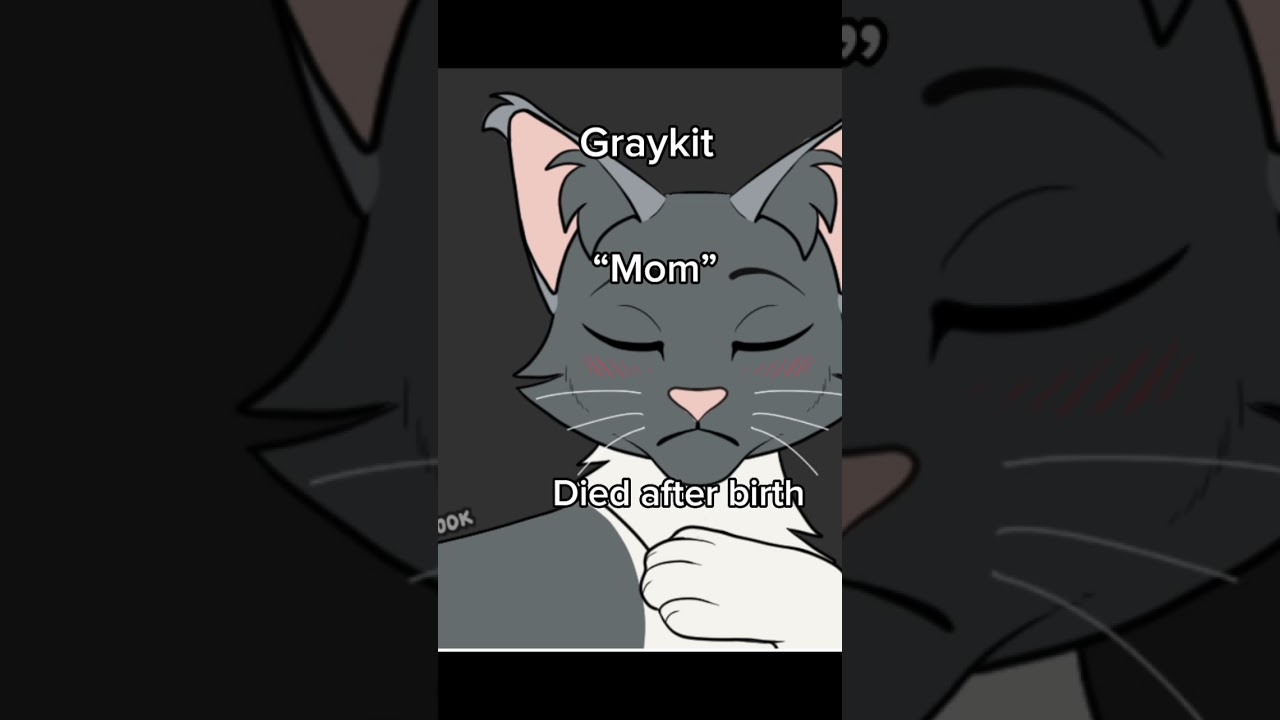 My oc’s last words and cause of deaths pt.2 #warriorcats #cat #warriorcat @HarvestBrook for credit