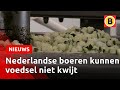 Eet meer soep en help de boeren en de voedselbank | Omroep Brabant