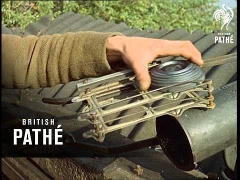 Shooting Starlet (1962)