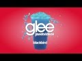 Glee Cast - Blackbird (karaoke version) 
