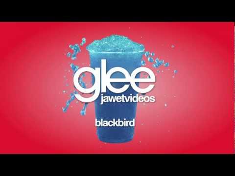 Glee Cast - Blackbird (karaoke version)