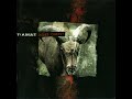 Tiamat - Fireflower & Summer by Night