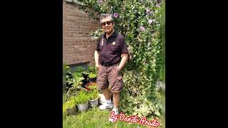 Download lagu Answer Me My Love, Uncle Dan’s version. mp3 Download lagu Answer Me My Love, Uncle Dan’s version. mp3