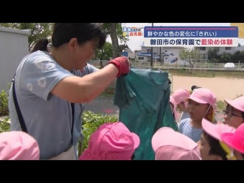 YouTube Video 園児が育てた藍を使って染め物作りに挑戦 Tシャツや手ぬぐいが鮮やかな藍色に