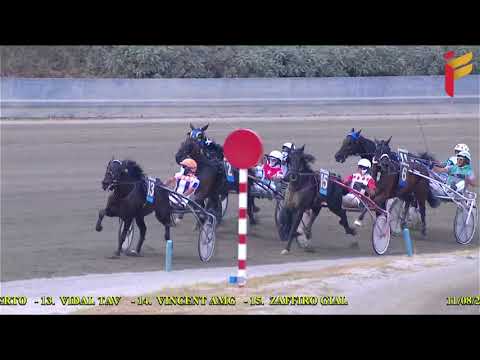 IV Corsa del 11 Agosto 2021 - 5 Anni ed oltre - II Tris - Metri 1600