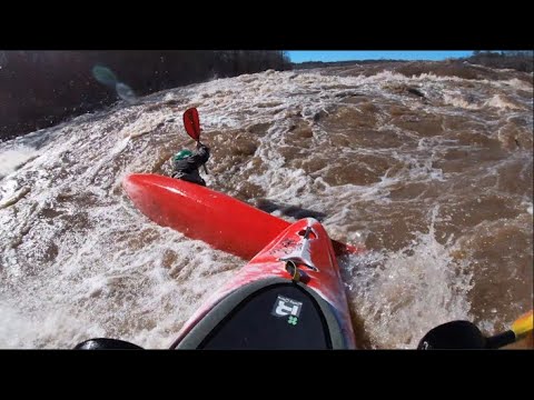 REEL WORLD Vol.7 - #5 Levente Gal (USA)