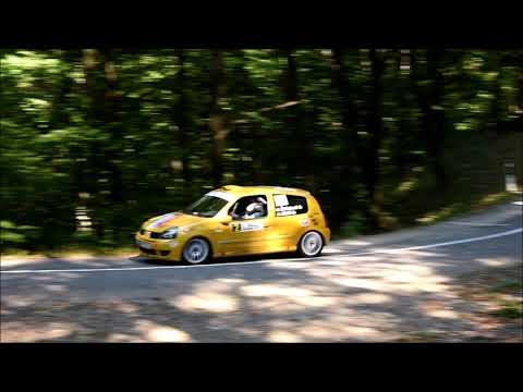 Zeljko Milutinovic / Uros Lukic - 2. Rally Djerdap 2019 - Renault Clio RS N