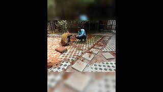 GRASS PAVERS INSTALLATION ,GARDEN PAVERS,  DRIVE WAY AND  PATH WAY PAVERS CONTACT 8148495875