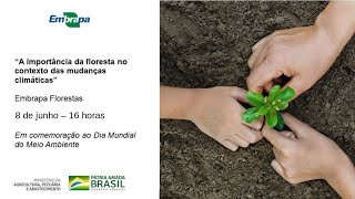 Miniatura do vídeo