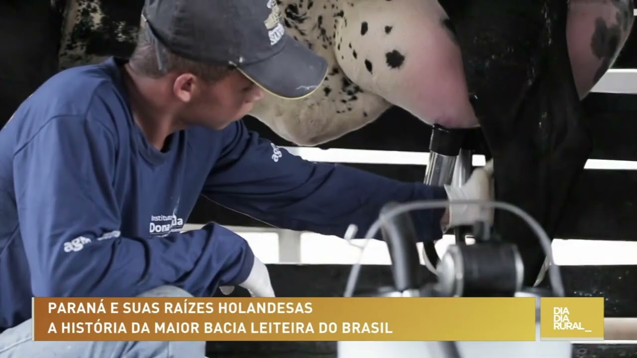 Conheça a história da maior bacia leiteira do Brasil