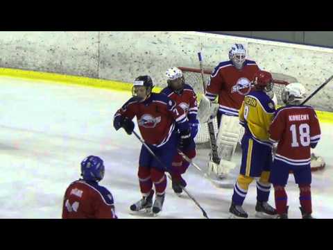 21. 2016 WSI 02 Sweden Selects - Czech Selects
