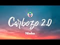 Ninho - Carbozo 2.0 (Lyrics/Paroles) Ninho - Carbozo 2.0 (Lyrics/Paroles)