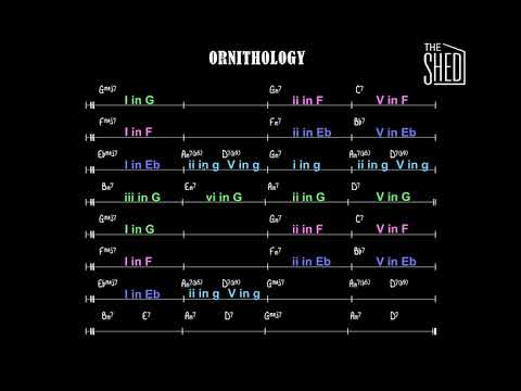 Chord Analysis of Ornithology