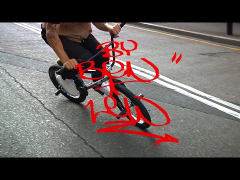 LEW IS FIENDING - FIEND BMX