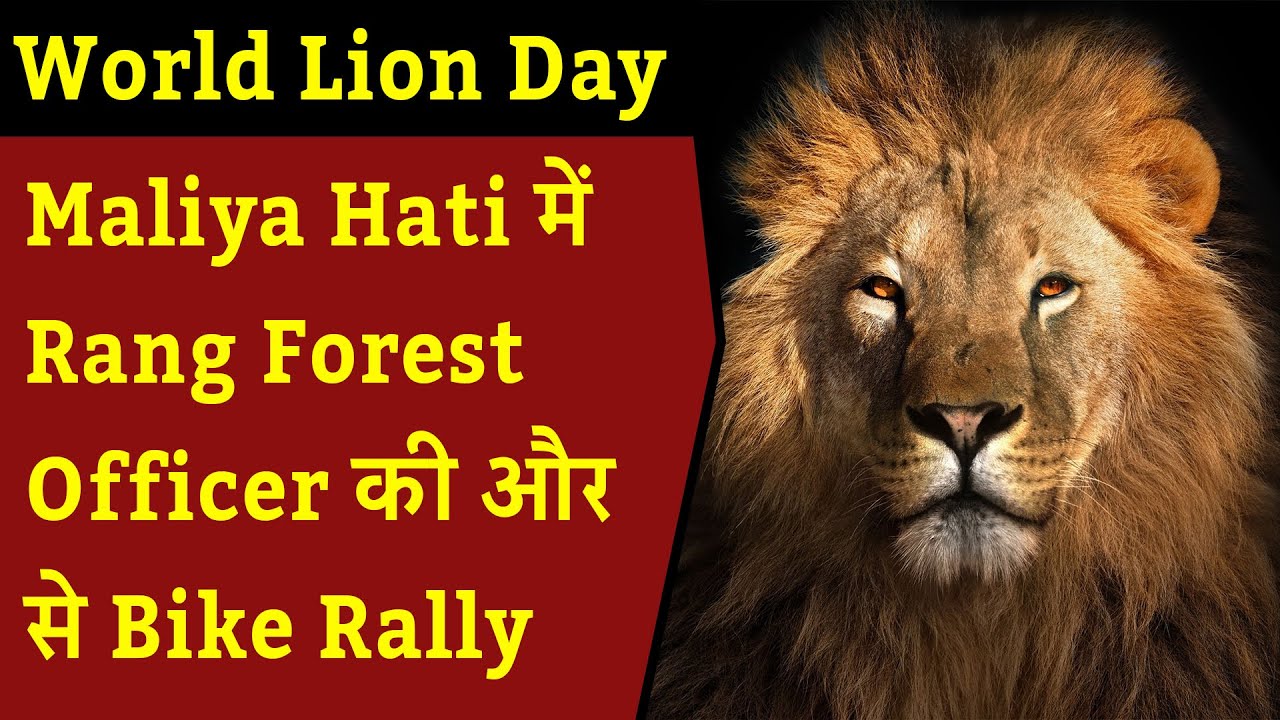 World Lion Day को लेकर Maliya Hati में Rang Forest Officer की और से Bike Rally का आयोजन किया गया