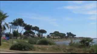 Palmedo - Secret Lover