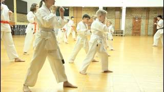 preview picture of video 'Karate Kyokushin Końskie - egzamin'