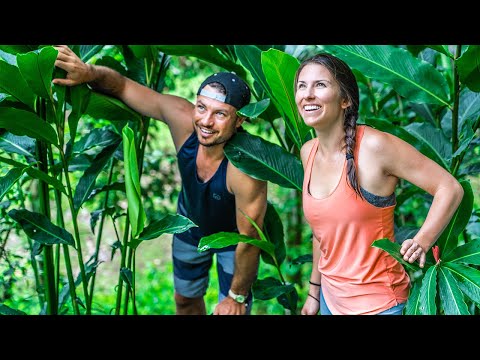 Sailors on a Holiday Mission | S04E12