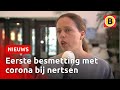 Dierhouderij getroffen door corona | Omroep Brabant