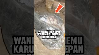 Download lagu Berapapun akan dibayar demi kucing terlantar mp3