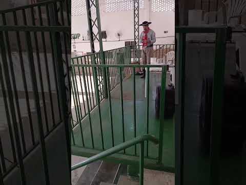 Rony Brasil da cidade de Machado Minas Gerais cantando a música marcas ao vivo 25 abril 2026