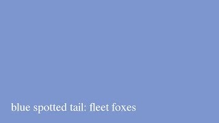 blue spotted tail: fleet foxes