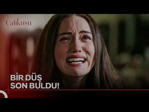 Feride  El Sacrificio Oculto en 'Çalıkuşu'   Amor y Lágrimas que Traspasan la Pantalla