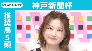 【神戸新聞杯 2026】JRA公式データを深掘！推奨馬発表！/ JRA-VAN【公式】