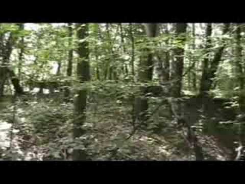 Kopalnia Rydułtowy - szyby wentylacyjne