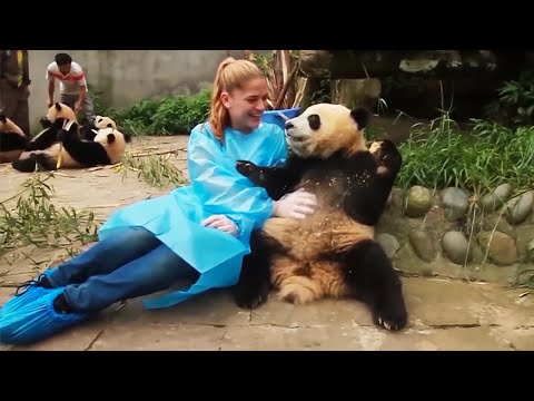 10 süße Tiere, die tatsächlich tödlich sind