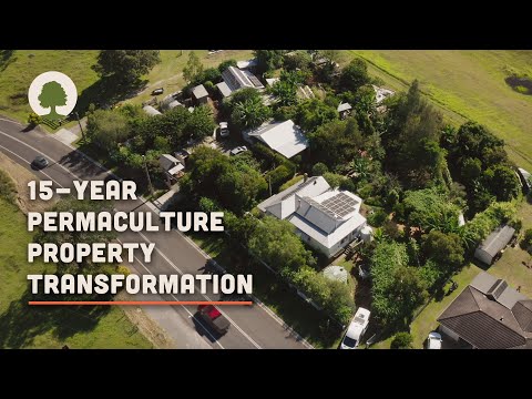 1-Acre Property Transformed into Thriving Permaculture Homestead! – Limestone Permaculture Farm