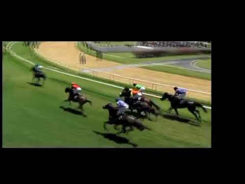 BTC: 2018 Sandy Lane Gold Cup - Race 1
