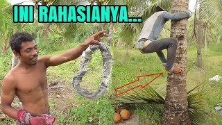 Download lagu HOW TO CLIMB A COCONUT TREE EASILY AND SAFELY || HARVESTING COCONUTS mp3