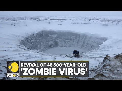 WION Climate Tracker: Scientists revive 48,500-year-old ‘zombie virus’ buried in ice | English News