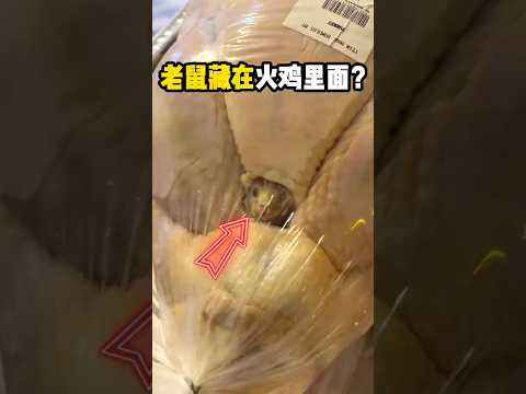 女子以為火雞裡藏著一顆老鼠頭 #有趣 #火鸡 @harmony_king007