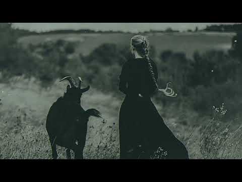 ± LONELY WHVLE ± - The Beast in your Shadow