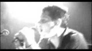 The Partisans - So neat