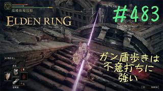♯483【今さら初見のELDEN RING】トリーナの昏剣は驚異の強さ、ついでに試した血鬼の血授にドン引きするも、石棺の大穴はどちらも効かない敵だらけ